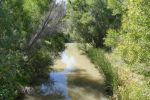 PICTURES/Woodchute Mountain Road - Verde RR/t_P1010314.JPG